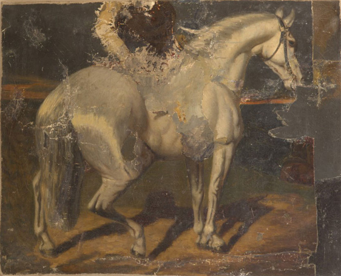 Horse Fragment Study c 18th Century